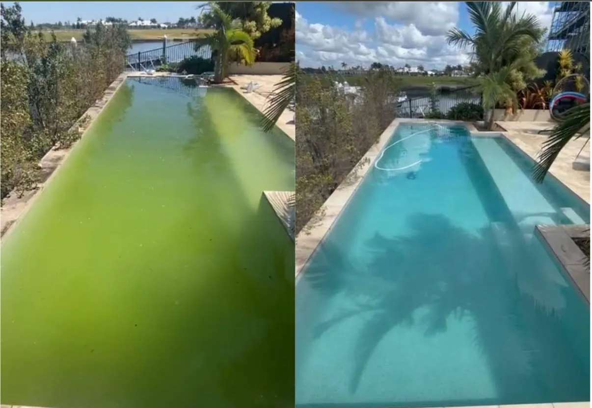 Green to clean pool transformation on the Gold Coast